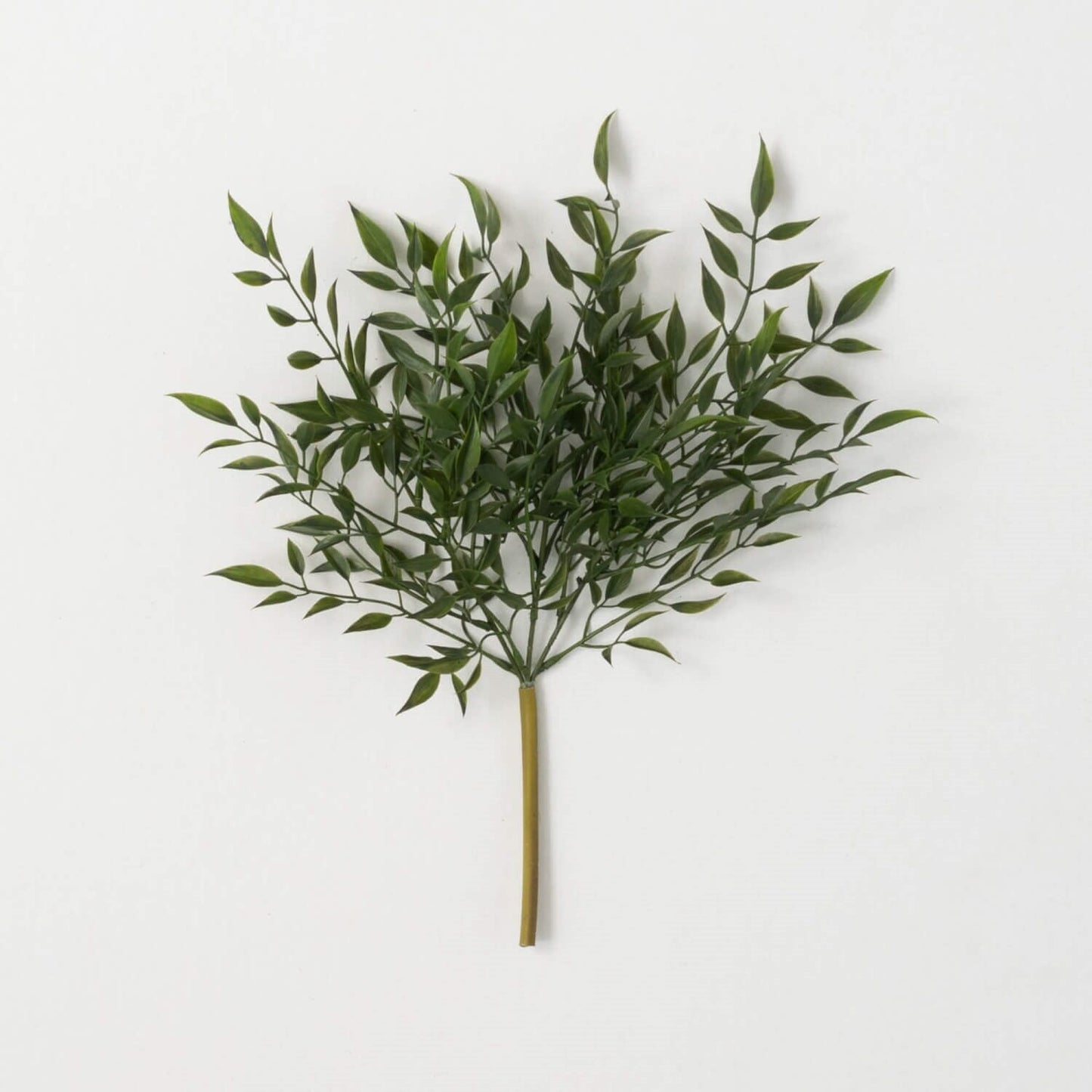 Ruscus Bush Pick