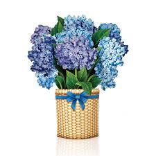Mini Pop-Up Bouquet & Card