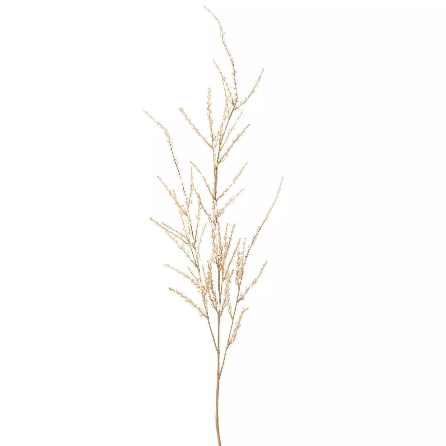 Spirea Spray