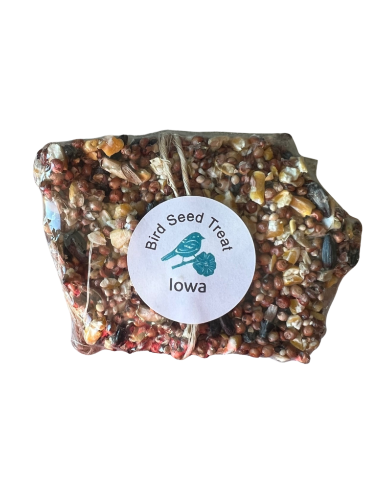 Bird Seed Treat