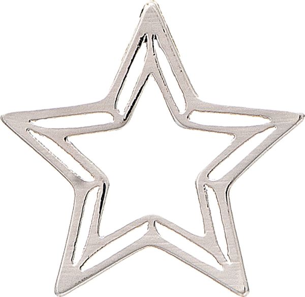 Cage Star Earring
