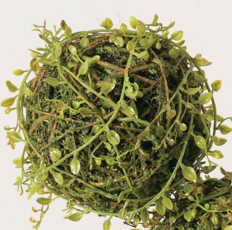 Mossy Leaf Orb