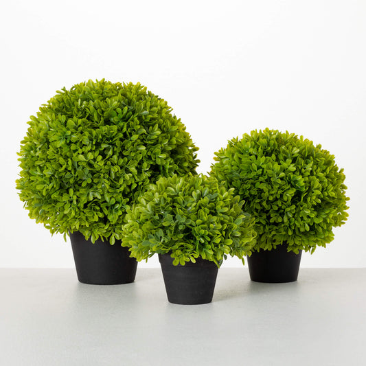 Boxwood Ball Pot
