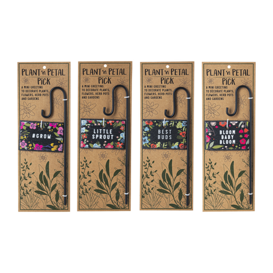 Botanical Plant Picks