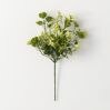 Eucalyptus Mint Pick
