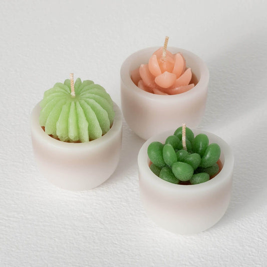 Succulent Candle