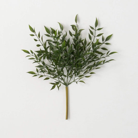 Ruscus Bush Pick