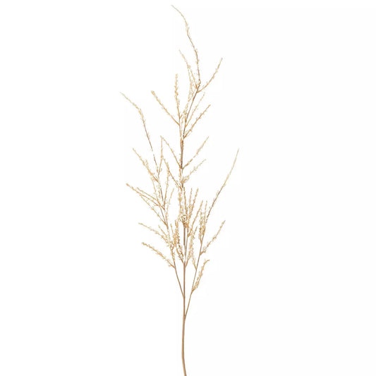 Spirea Spray