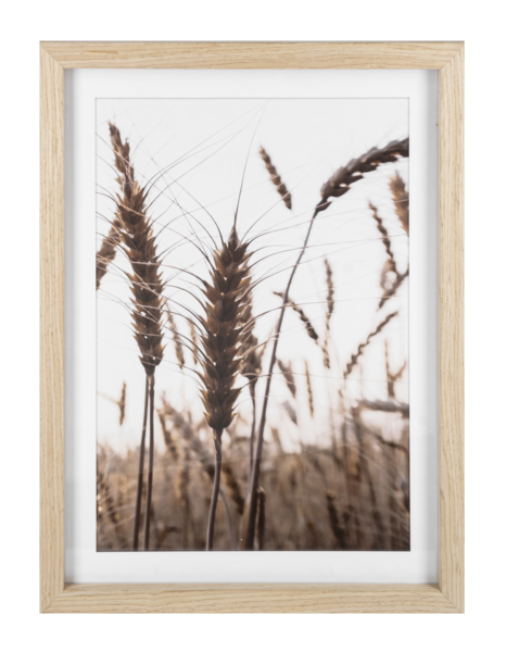 Wheat Print