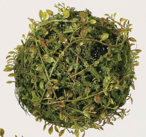 Mossy Leaf Orb