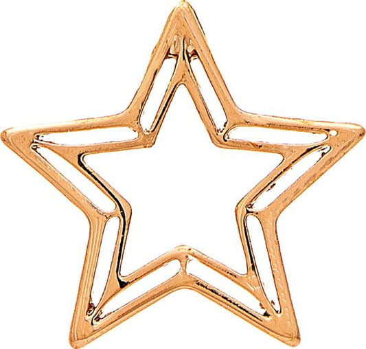 Cage Star Earring