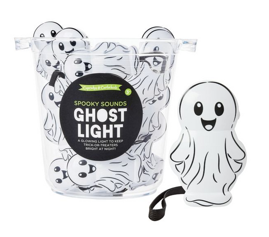 Spooky Sounds Safety Light Up Flashlight