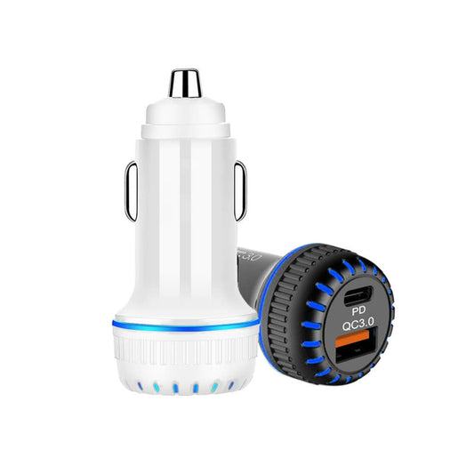 Dual Car Fast Charger