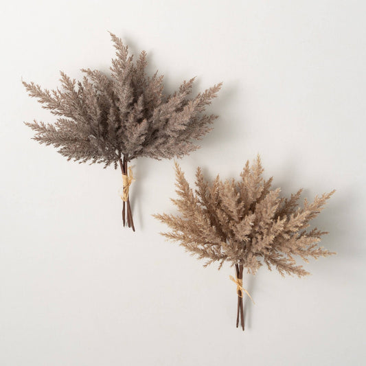 Pampas Grass Bundle