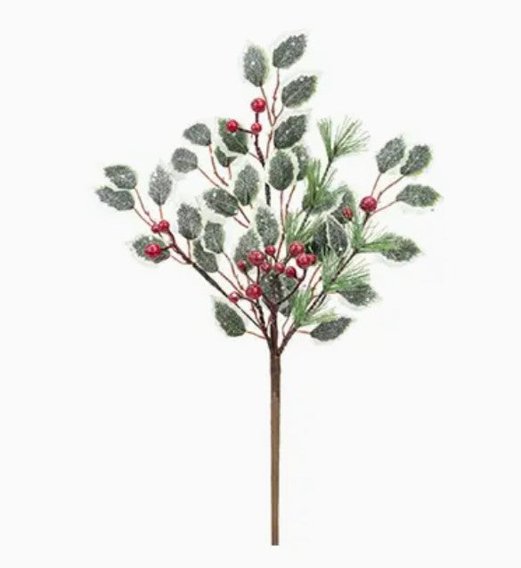 Frosted Holly and Berry Pick