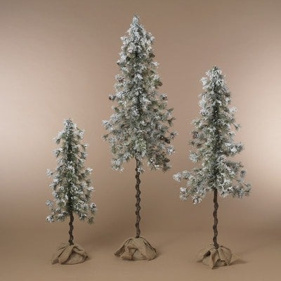 Snowy Pine Tree